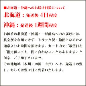 奥野晴明堂のお線香 ZERO香料 大箱 黒(無...の詳細画像1