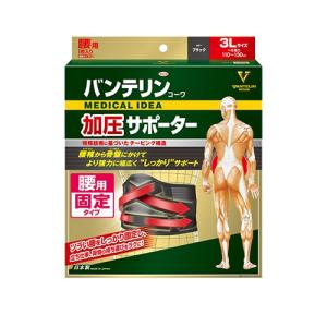 興和 バンテリンサポーター 腰しっかり 加圧ワイ...の商品画像