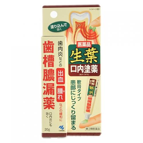 【第3類医薬品】小林製薬　生葉口内塗薬　20g