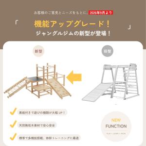 【5のつく日★全品5%OFF】ジャングルジム ...の詳細画像1