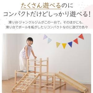 【5のつく日★全品5%OFF】ジャングルジム ...の詳細画像3