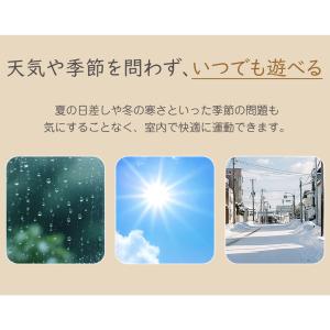 【5のつく日★全品5%OFF】ジャングルジム ...の詳細画像4