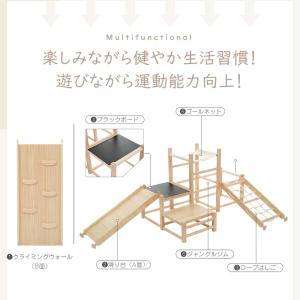 【5のつく日★全品5%OFF】ジャングルジム ...の詳細画像5