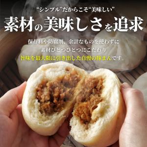 豚まん 10個入 ＼バナナマンの早起きせっかく...の詳細画像3