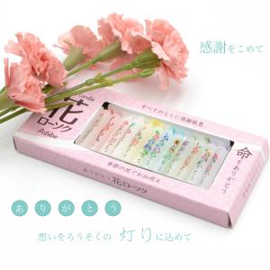 亀山蝋燭 カメヤマ 大ローソク 1号5 A#202 燃焼時間 1時間 実用