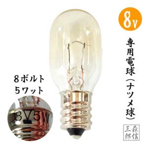 Casper Candle Light キャスパーキャンドルライト電球 1箱2ケ入