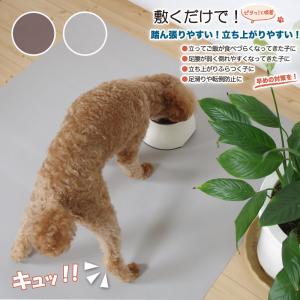 滑らない 踏ん張り シート 犬 ペット用 11...の詳細画像1