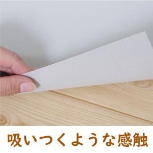 滑らない 踏ん張り シート 犬 ペット用 11...の詳細画像2