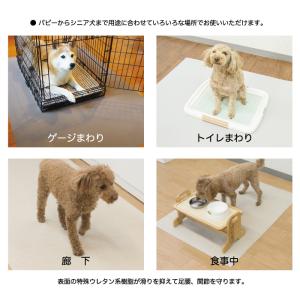 滑らない 踏ん張り シート 犬 ペット用 11...の詳細画像5