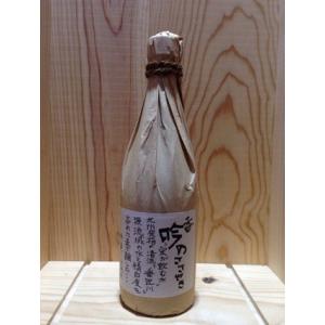 麦焼酎 いいちこ シルエット 25度 720ml×12本 ケース販売 : お酒の専門