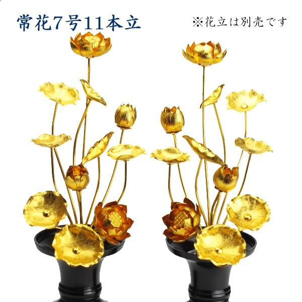 常花　金蓮華7号11本立（一対）