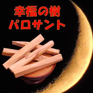 （入荷未定）【香木・幸運の樹パロサント約30g入り（約10cmのスティック5〜6本相当）】ネコポス送料無料｜butudanya