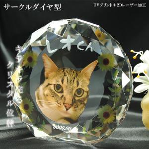 かわいいクリスタルペット位牌【ピュアラブ サークル　サイズB】【UV＋2Dレーザー】犬の位牌　猫の位牌　ペット供養｜butudanya