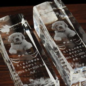 ペット位牌【世界に一つの特別:3Dクリスタル位...の詳細画像3