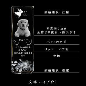 ペット位牌【世界に一つの特別:3Dクリスタル位...の詳細画像4