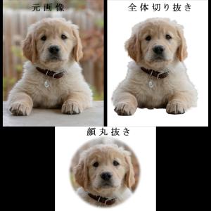 ペット位牌【世界に一つの特別:3Dクリスタル位...の詳細画像5