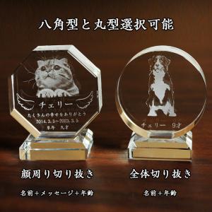 ペット位牌【世界に一つの特別:3Dクリスタル位...の詳細画像1