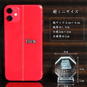 ペット位牌【世界に一つの特別:3Dクリスタル位...の詳細画像3
