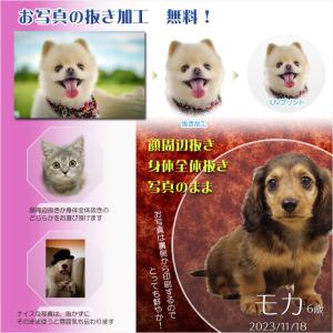 位牌【ペット供養:クリスタルペット位牌・メモリ...の詳細画像5