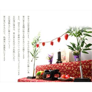お盆飾り【盆棚用:笹立て付き 笹の葉結界セット...の詳細画像3