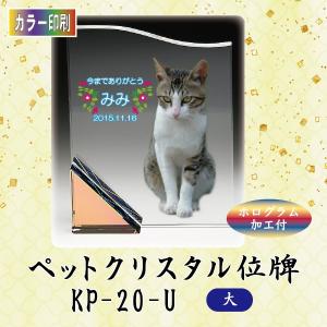 【カラー印刷】クリスタルペット位牌　KP-20-U (大)｜butugushi-pro