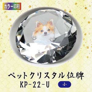 【カラー印刷】クリスタルペット位牌　KP-22-U (小)｜butugushi-pro