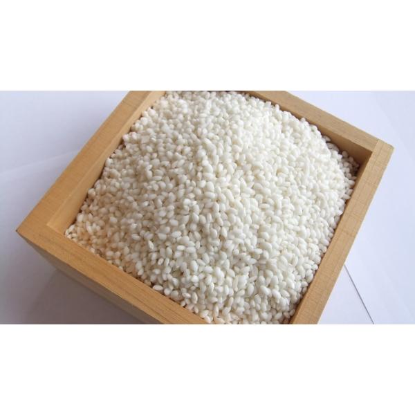 【業務用サイズ】高級もち米30ｋｇ（玄米）／餅つき大会に最適