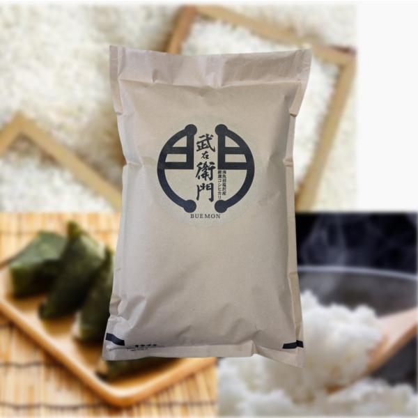 新米【９月中旬出荷予定】　令和6年産・南魚沼産コシヒカリ（塩沢産）５ｋｇ　農家直送