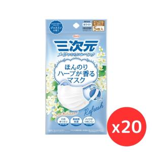 三次元マスク 「10袋セット」興和 三次元 ほんのりハーブが香るマスク