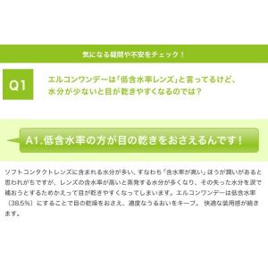 エルコンワンデー 4箱セット(左右各2箱) /...の詳細画像2