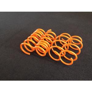 【新品】マスタング　エコブースト　rana　ローダウンスプリング　ローサス　ダウンサス