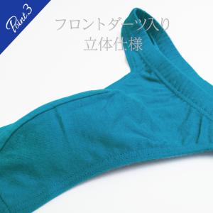 Tバック ビキニ ブリーフ 無地 BVD bv...の詳細画像4