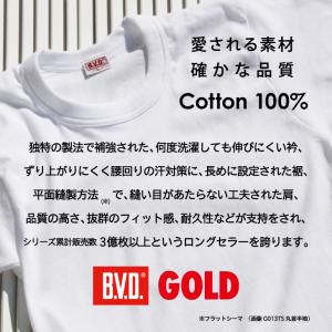 ブリーフ セミビキニ bvd BVD GOLD...の詳細画像1