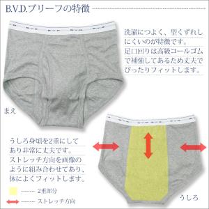 天ゴムスタンダードカラーブリーフ BVD GO...の詳細画像1