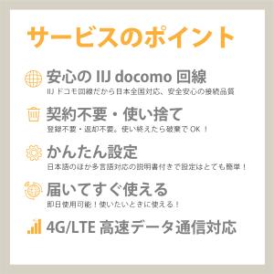 データ通信sim 10GB/180日 プリペイ...の詳細画像3