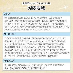 【送料無料】世界周遊179地域 世界どこでもプ...の詳細画像4