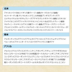 【送料無料】世界周遊179地域 世界どこでもプ...の詳細画像5