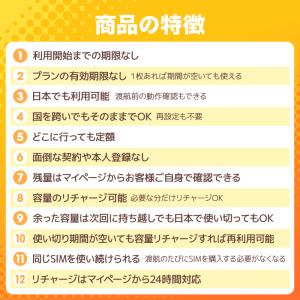 【送料無料】世界周遊49地域 スタンダードプラ...の詳細画像2