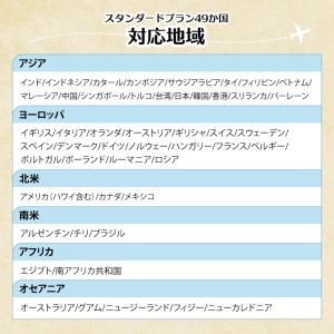 【送料無料】世界周遊49地域 スタンダードプラ...の詳細画像4