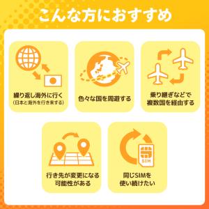 【送料無料】世界周遊49地域 スタンダードプラ...の詳細画像5