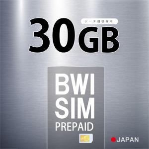 【在庫限りのセール！】Softbank 日本国内 データ通信専用SIM 30GB  プリペイドSIMカード 4G/LTE対応 ソフトバンク 回線 送料無料 日本 国内 利用｜BWIストア