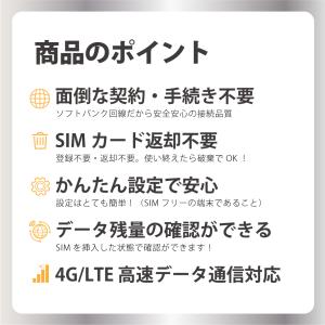 Softbank 日本国内 データ通信専用SI...の詳細画像3