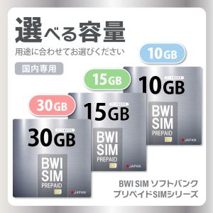 Softbank 日本国内 データ通信専用SI...の詳細画像1