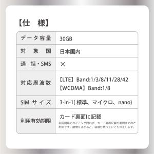Softbank 日本国内 データ通信専用SI...の詳細画像2