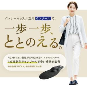 IRERUDAKEインソール (いつもの靴に入...の詳細画像1