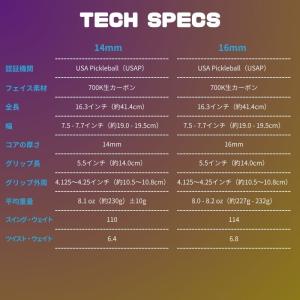 【正規代理店】シックスゼロ ダブルブラックダイ...の詳細画像4
