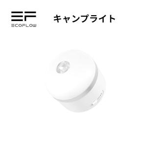 EcoFlow キャンプライト LEDランタン USB充電式 アウトドアランタン キャンプランタン
