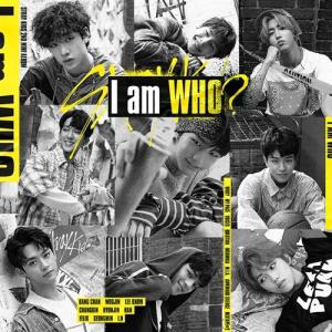 安心の日本国内発送 Stray Kids World Tour District 9 Unlock