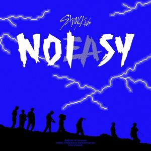 安心の日本国内発送 2nd Full Album NOEASY STANDARD VER. A TYPE Stray Kids straykids ストレイキッズ スキズ アルバム cd バージョン選択