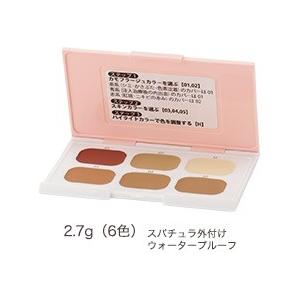 【ネコポス対応商品・ポイント10倍！】 プラスリストア DTカモフラージュコンシーラ